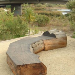 segmented log forms a curving bench