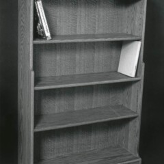 tall bookcase with 5 shelves