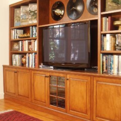 wall system with books and TV